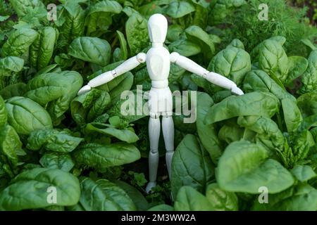 Wooden mannequin on lettuce leaves. Harvesting. Selective focus Stock Photo