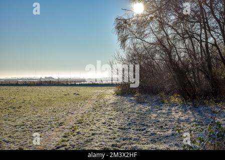 Den Helder, Netherlands. December 2022. Dutch winter landscape with frost. High quality photo Stock Photo