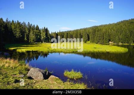 Beautiful lake Kleiner Arbersee with its swimming islands in the Bavarian Forest, Upper Palatinate, Bavaria, Germany. Stock Photo
