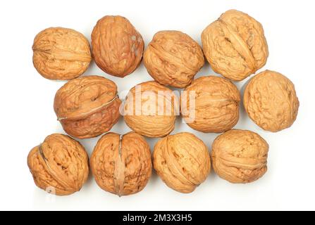 ripe walnuts side by side against a white background Stock Photo