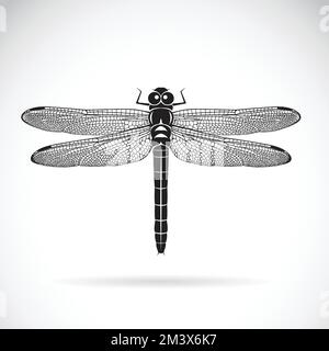 Vector of dragonfly on white background. Insect Animal. Easy editable layered vector illustration. Stock Vector