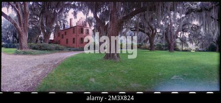 Medway Plantation, Toni Frissell, Antoinette Frissell Bacon, Antoinette Frissell Stock Photo