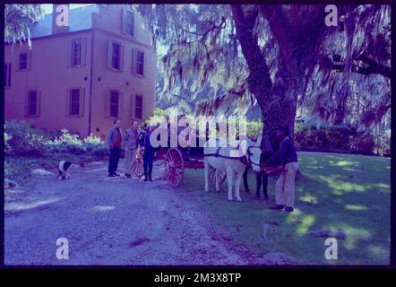 Medway Plantation, Toni Frissell, Antoinette Frissell Bacon, Antoinette Frissell Stock Photo