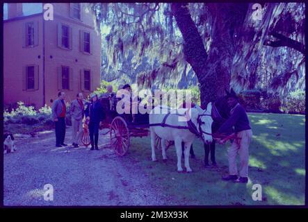 Medway Plantation, Toni Frissell, Antoinette Frissell Bacon, Antoinette Frissell Stock Photo