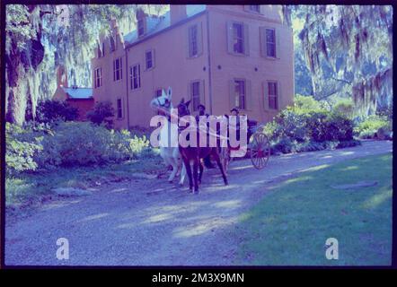 Medway Plantation, Toni Frissell, Antoinette Frissell Bacon, Antoinette Frissell Stock Photo