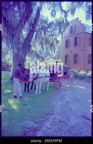 Medway Plantation, Toni Frissell, Antoinette Frissell Bacon, Antoinette Frissell Stock Photo