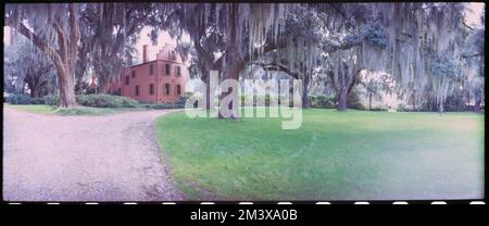 Medway Plantation, Toni Frissell, Antoinette Frissell Bacon, Antoinette Frissell Stock Photo