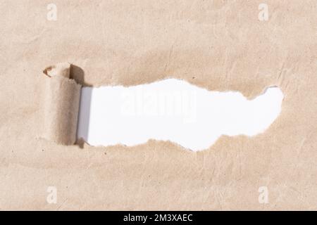 Template of a brown paper with a torn stripe and white paper background to insert text Stock Photo