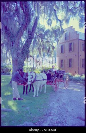 Medway Plantation, Toni Frissell, Antoinette Frissell Bacon, Antoinette Frissell Stock Photo