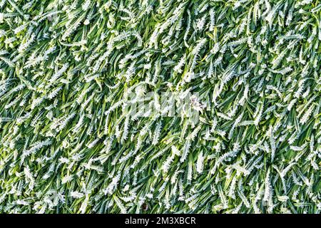Frost on frozen artificial grass or astro-turf. Stock Photo