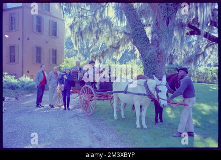 Medway Plantation, Toni Frissell, Antoinette Frissell Bacon, Antoinette Frissell Stock Photo