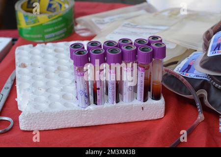 Cairo, Egypt, December 15 2022: blood samples in tubes collected from donors for analysis during a blood donation campaign for children with thalassem Stock Photo
