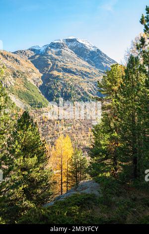 The magnificent Swiss Alps in an autumn Stock Photo - Alamy