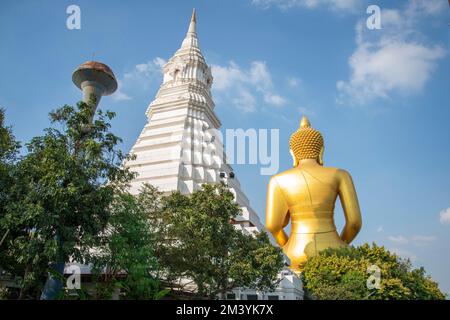 the Big Budda Dhammakaya Thep Mongkol Buddha of the Paknam Bhasicharoen Temple in Thonburi in the city of Bangkok in Thailand.    Thailand, Bangkok, D Stock Photo