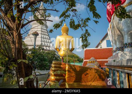 the Big Budda Dhammakaya Thep Mongkol Buddha of the Paknam Bhasicharoen Temple in Thonburi in the city of Bangkok in Thailand.    Thailand, Bangkok, D Stock Photo