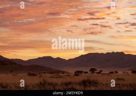 Landscape on the main C19 road, sunrise, Namibia, Africa Stock Photo