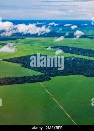 Aerial of the giant soy fields around Sinop, Mato Grosso, Brazil Stock Photo