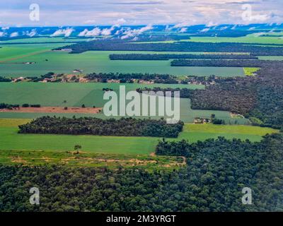 Aerial of the giant soy fields around Sinop, Mato Grosso, Brazil Stock Photo