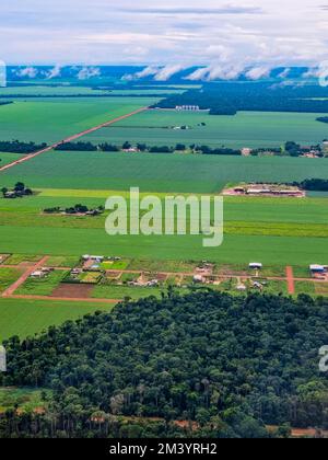 Aerial of the giant soy fields around Sinop, Mato Grosso, Brazil Stock Photo