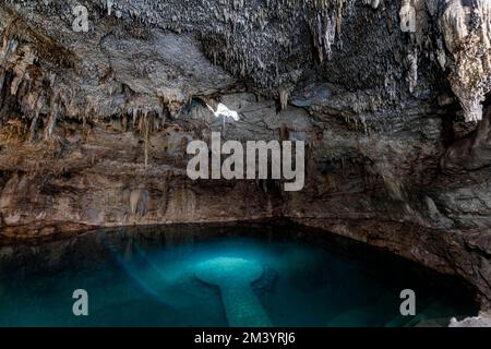 Cenote Suytun, Valladolid, Yucatan, Mexico Stock Photo