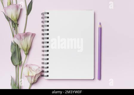 Eustoma flowers with blank spiral notebook with purple pencil against pink background Stock Photo