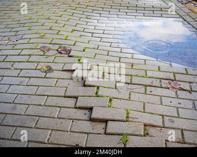 macro broken concrete pathway brick surface background, melancholy concept hd image Stock Photo