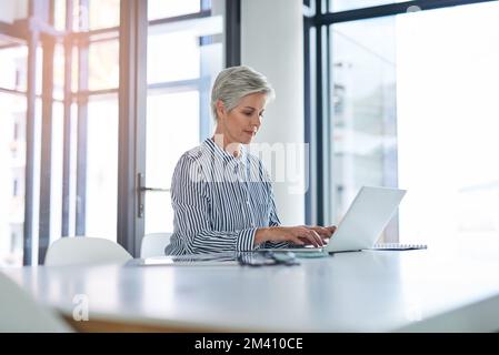Her hard work is why shes still successful. an attractive mature businesswoman using a laptop at her office desk at work. Stock Photo