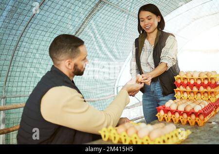 Egg farmer, food and couple at chicken farm checking health, production or growth of eggs. Poultry agriculture, sustainability or inspection of Stock Photo