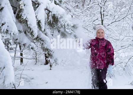 Child snow is having fun. A little girl in a winter forest. He throws snow from the fir branches and laughs. The concept of childhood, carelessness an Stock Photo