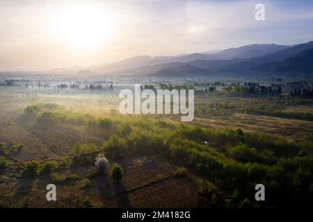 Aerial view or the valley near Ozurgeti and tea plantations in the morning light, Guria, Georgia Stock Photo