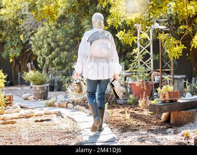 Beekeeping, smoke for bees and woman in garden walking with farming equipment, gear and protective suit. Agriculture, nature and senior lady ready to Stock Photo