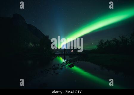 The green Northern lights over the forest against a starry night Stock Photo