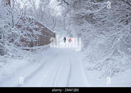 Snow road people from the back. An elderly couple unrecognizable walking with a dog on a country road. Beautiful winter snow-covered landscape. The co Stock Photo