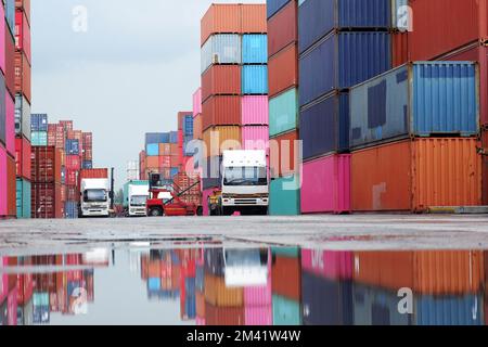 Forklifts handling freight, container boxes in logistic shipping yard with stacks of cargo containers in the background. Stock Photo