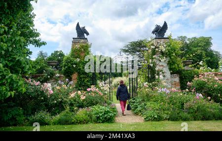 Summer Landscape view of  herbaceous borders in Helmingham Hall and Gardens Suffolk Stock Photo