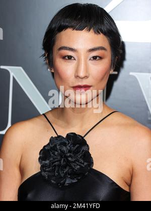 Greta Lee at the 20th Annual Asian American Awards UNFORGETTABLE Gala