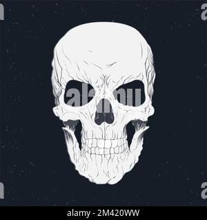 Skull of a human hand-drawn with anatomical accuracy on a dark retro background Stock Vector