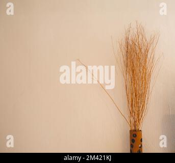Dry tree with white plaster wall Stock Photo