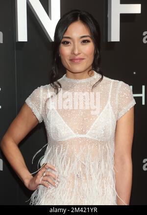 Yvonne Chapman at the 20th Annual Asian American Awards UNFORGETTABLE