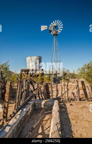 Windmill, water tank, watering trough, Bates Well Ranch, El Camino del Diablo, Organ Pipe Cactus National Monument, Arizona, USA Stock Photo