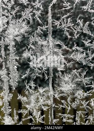 There are many closely spaced ice flowers on one pane. Stock Photo