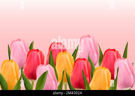 Multicolored tulips on a light pink background with copy space. Vector image. Stock Vector