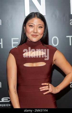Miki Ishikawa at the 20th Annual Asian American Awards UNFORGETTABLE