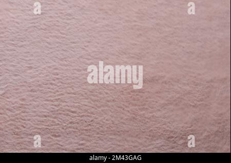 Pink soft fluffy texture background macro close up view Stock Photo