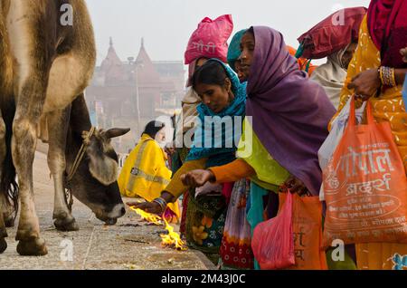 Many different rituals get performed at the ghats Stock Photo - Alamy