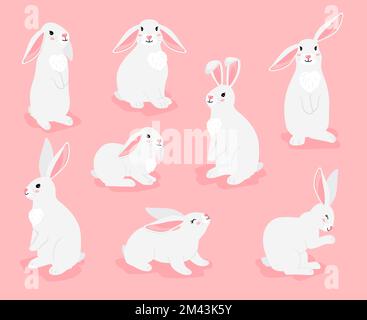 Funny bunny pets pose collection. Chinese new year symbol. White furry hares isolated on white background. Vector illustration of cartoon cute easter characters rabbits. Bunny pet animal collection Stock Vector