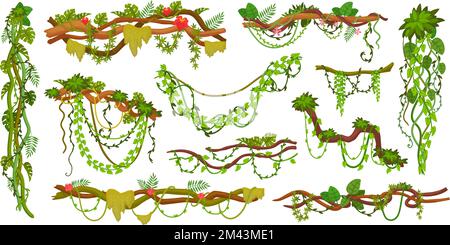 Jungle creepers. Cartoon creeper plant, tree branch hanging vines rainforest thicket, twisted floral liana with green forest climbing vegetation, ingenious vector illustration of tree jungle branch Stock Vector