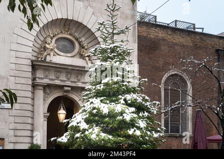 Snow covered Chirstmas Tree outside St Mary-le-Bow Church, Cheapside, City of London Stock Photo