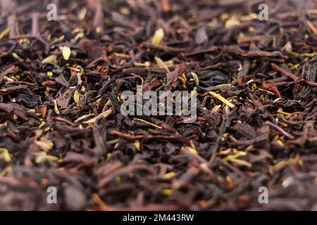 Dried black tea leaves with thyme herb. Dry healthful herbal healing ingredient Stock Photo