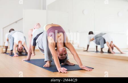 Couples practicing yoga with partner at studio Stock Photo